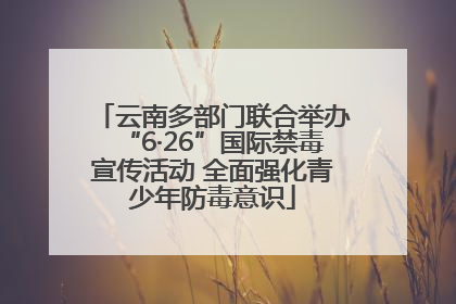 云南多部门联合举办“6·26”国际禁毒宣传活动 全面强化青少年防毒意识
