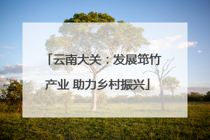 云南大关：发展筇竹产业 助力乡村振兴