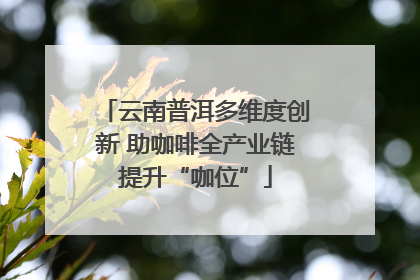 云南普洱多维度创新 助咖啡全产业链提升“咖位”