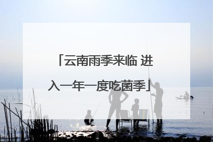 云南雨季来临 进入一年一度吃菌季