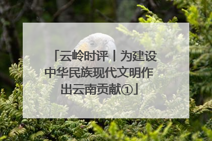 云岭时评丨为建设中华民族现代文明作出云南贡献①