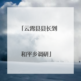 云霄县县长到和平乡调研