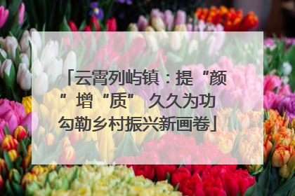 云霄列屿镇：提“颜”增“质” 久久为功勾勒乡村振兴新画卷