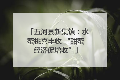 五河县新集镇：水蜜桃喜丰收 “甜蜜经济促增收”