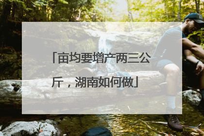 亩均要增产两三公斤，湖南如何做