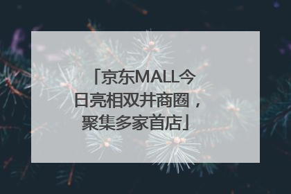 京东MALL今日亮相双井商圈，聚集多家首店