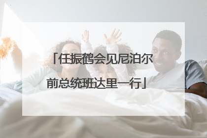 任振鹤会见尼泊尔前总统班达里一行