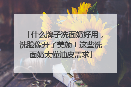 什么牌子洗面奶好用，洗脸像开了美颜！这些洗面奶太懂油皮需求