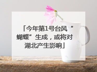 今年第1号台风“蝴蝶”生成，或将对湖北产生影响