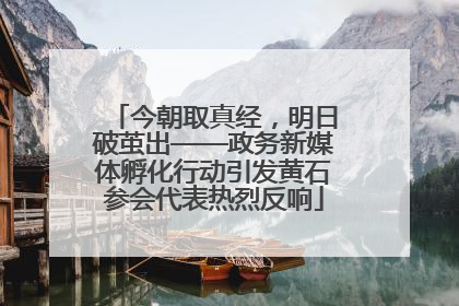 今朝取真经，明日破茧出——政务新媒体孵化行动引发黄石参会代表热烈反响