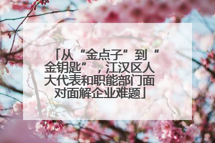 从“金点子”到“金钥匙”，江汉区人大代表和职能部门面对面解企业难题