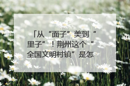 从“面子”美到“里子”！荆州这个“全国文明村镇”是怎样炼成的？