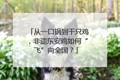 从一口锅到千只鸡，非遗东安鸡如何“飞”向全国？