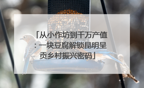 从小作坊到千万产值：一块豆腐解锁昆明呈贡乡村振兴密码