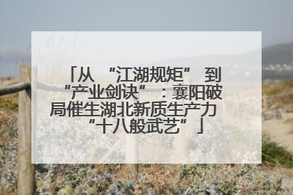 从 “江湖规矩” 到 “产业剑诀”：襄阳破局催生湖北新质生产力 “十八般武艺”