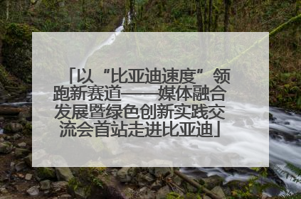 以“比亚迪速度”领跑新赛道——媒体融合发展暨绿色创新实践交流会首站走进比亚迪