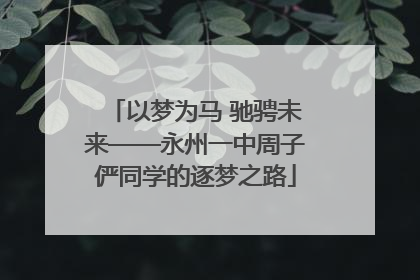以梦为马 驰骋未来——永州一中周子俨同学的逐梦之路