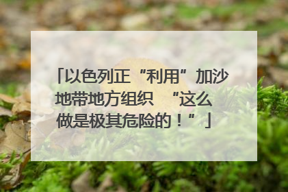 以色列正“利用”加沙地带地方组织  “这么做是极其危险的！”