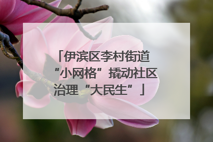 伊滨区李村街道 “小网格”撬动社区治理“大民生”