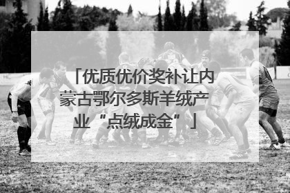 优质优价奖补让内蒙古鄂尔多斯羊绒产业“点绒成金”