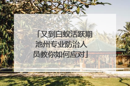 又到白蚁活跃期 池州专业防治人员教你如何应对