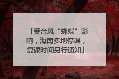 受台风“蝴蝶”影响，海南多地停课，复课时间另行通知
