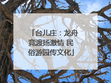台儿庄：龙舟竞渡扬激情 民俗游园传文化