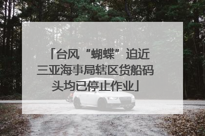 台风“蝴蝶”迫近 三亚海事局辖区货船码头均已停止作业