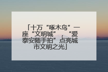 十万“啄木鸟”一座“文明城”，“爱泰安随手拍”点亮城市文明之光