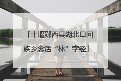 十堰郧西县湖北口回族乡念活“林”字经