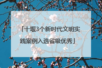 十堰3个新时代文明实践案例入选省级优秀