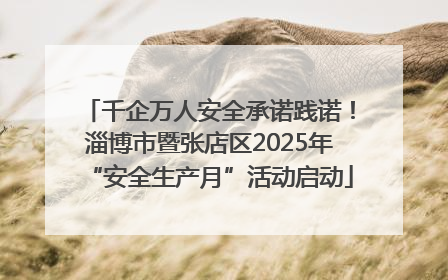 千企万人安全承诺践诺！淄博市暨张店区2025年“安全生产月”活动启动