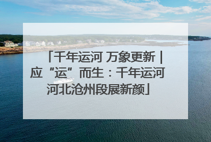 千年运河 万象更新｜应“运”而生：千年运河河北沧州段展新颜