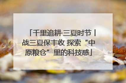 千里追耕·三夏时节丨战三夏保丰收 探索“中原粮仓”里的科技感