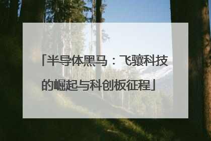 半导体黑马：飞骧科技的崛起与科创板征程
