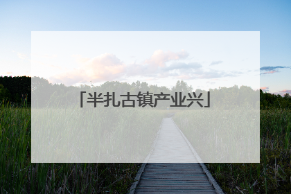 半扎古镇产业兴