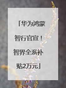 华为鸿蒙智行官宣！智界全系补贴2万元