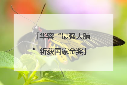 华容“最强大脑”斩获国家金奖