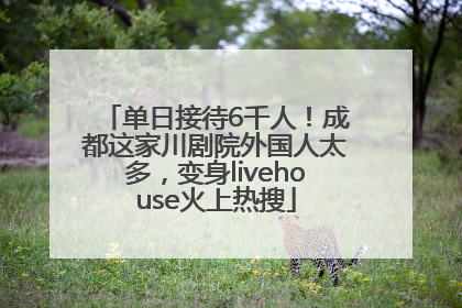 单日接待6千人！成都这家川剧院外国人太多，变身livehouse火上热搜
