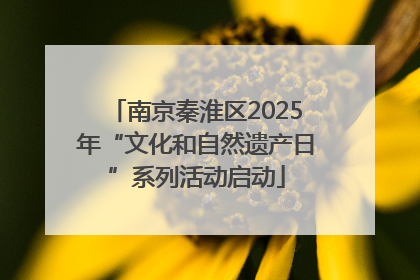 南京秦淮区2025年“文化和自然遗产日”系列活动启动