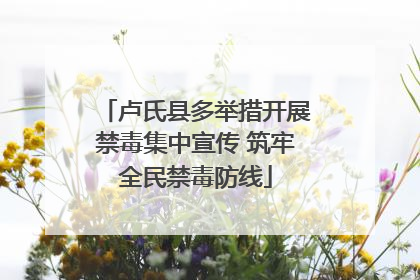 卢氏县多举措开展禁毒集中宣传 筑牢全民禁毒防线