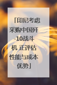 印尼考虑采购中国歼-10战斗机 正评估性能与成本优势
