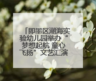 即墨区潮海实验幼儿园举办“梦想起航 童心飞扬”文艺汇演暨端午游园会活动