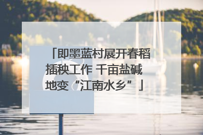 即墨蓝村展开春稻插秧工作 千亩盐碱地变“江南水乡”