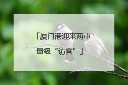 厦门港迎来两重量级“访客”