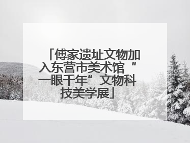 傅家遗址文物加入东营市美术馆“一眼千年”文物科技美学展