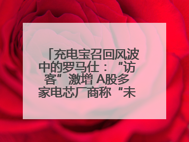 充电宝召回风波中的罗马仕：“访客”激增 A股多家电芯厂商称“未供货”
