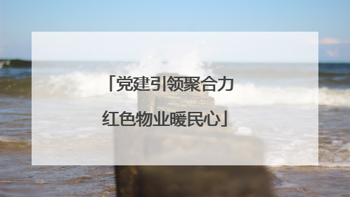 党建引领聚合力 红色物业暖民心
