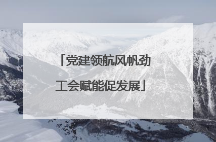 党建领航风帆劲 工会赋能促发展