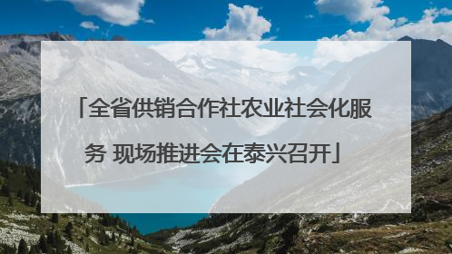 全省供销合作社农业社会化服务 现场推进会在泰兴召开